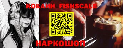 твердый Гатчина