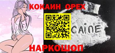 твердый Гатчина