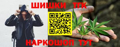 твердый Гатчина
